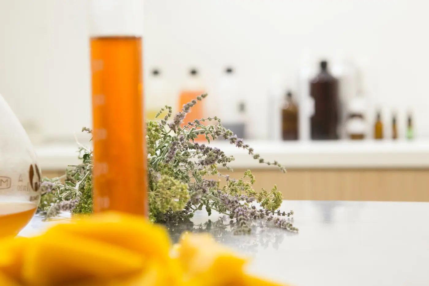propolis kapi